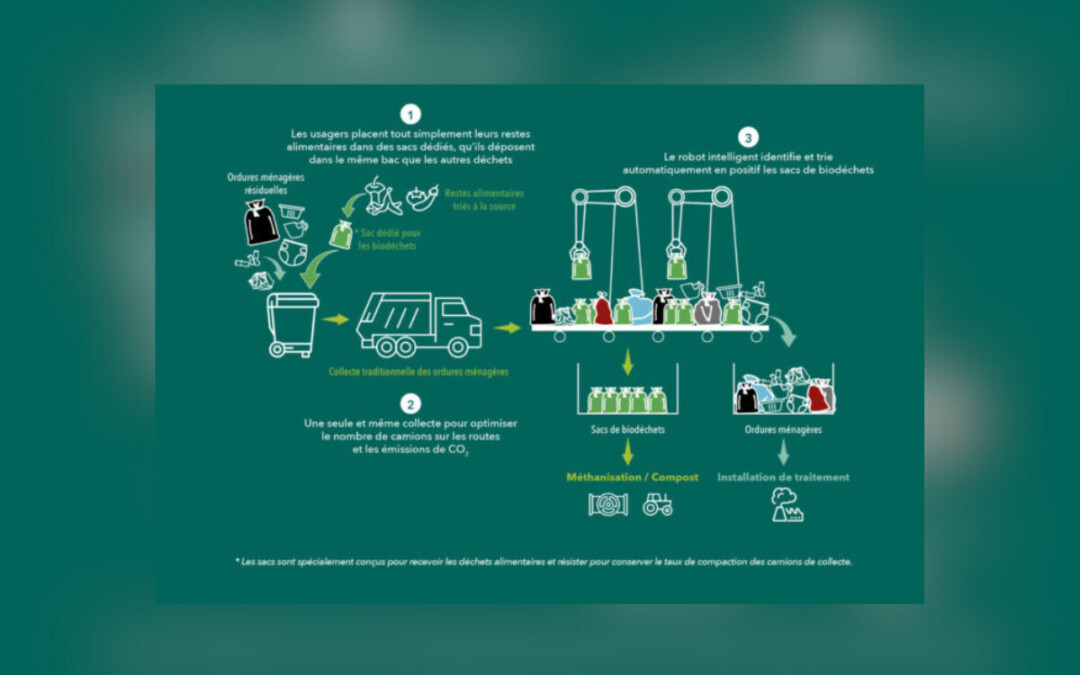 Our AI-powered robotic bag-sorting system is now operational